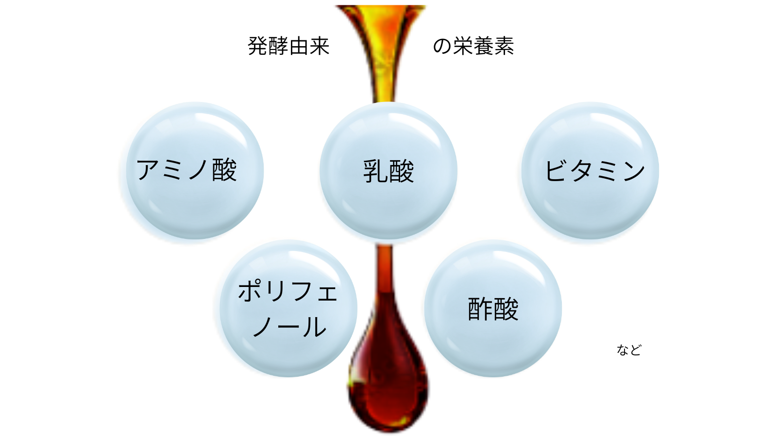 栄養素